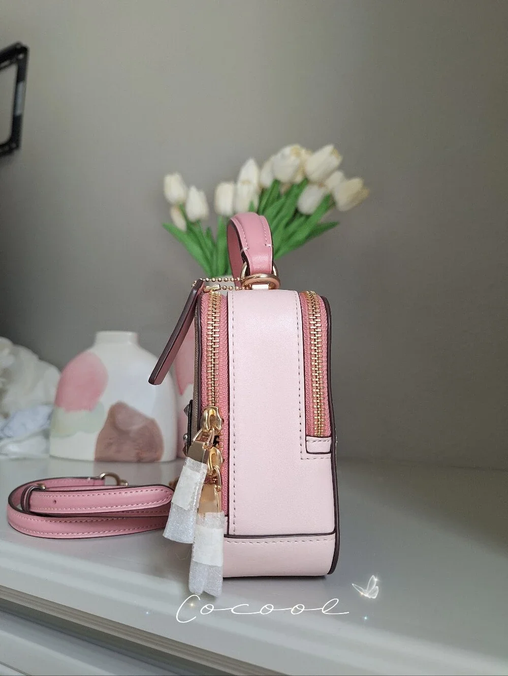 NWT Disney x Coach Cinderella Box Crossbody Bag Signature Canvas Khaki Pink Rare